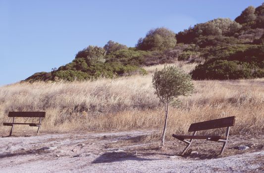 Two empty benches on windy hill