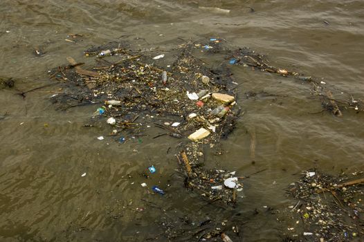 Rubbish floating on the River Thames.