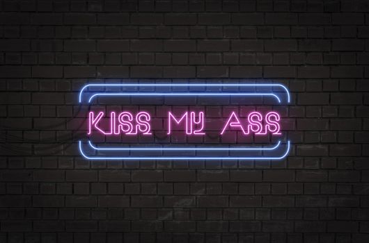 Illustration of a neon sign on a brick wall with the text "Kiss my ass"