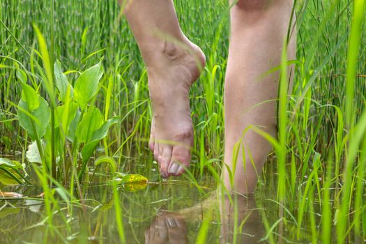 Female legs close up immersed in water, surrounded by thick grass