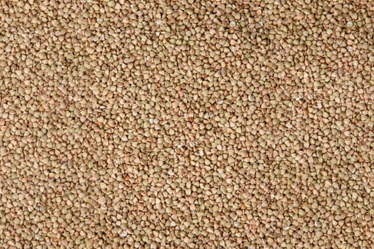 Dry buckwheat grains background with copy space