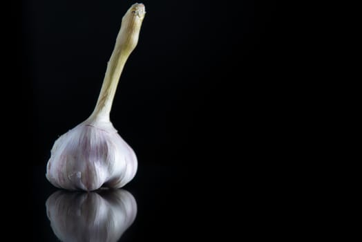 One garlic with a stem on a black isolated background