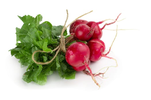 Freshly ripe radishes isolated over white background.