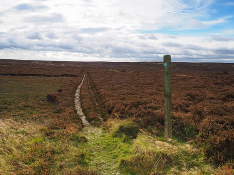 Footpath with marker post leading across Brow Moor in the North York Moors National Park, Yorkshire, UK