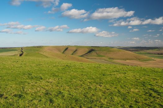 View to Milk Hill, the highest point in Wiltshire, and across the Vale of Pewsey and Salisbury Plain, from the top of Tan Hill, with blue sky and white clouds, North Wessex Downs, UK