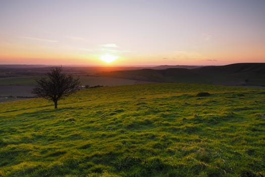 Sunset from the top of Milk Hill, the highest point in Wiltshire, with lone tree looking across the Vale of Pewsey and Salisbury Plain, North Wessex Downs, UK