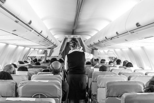 Interior of commercial airplane with flight attandant serving passengers on seats during flight. Stewardess in dark blue uniform walking the aisle. Black and white image.