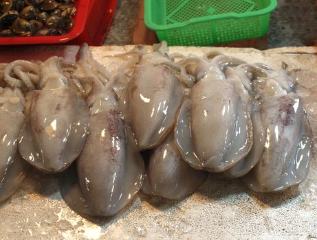 Fresh squid is offered at an outdoor market