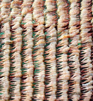 The meat of shelled shrimps is spread out on racks in order to dry
