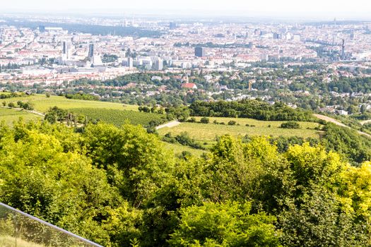 Vienna, the capital of Austria, seen from Kahlenberg a mountain to the north of the city with vineyards