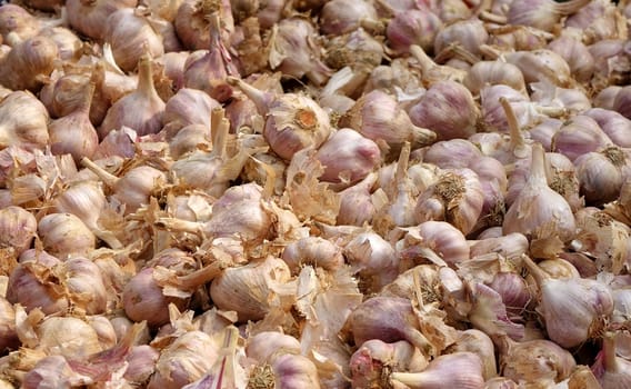 Purple garlic bulbs for sale at an outdoor market