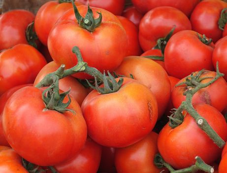 Bright red garden tomatoes are being sold at a farmer market
