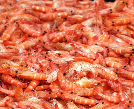 Fresh shrimps on ice are sold at an outdoor market
