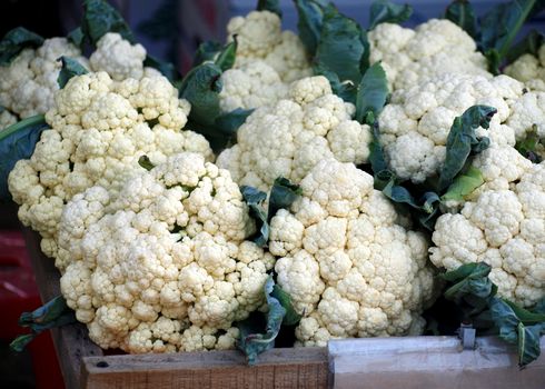 Fresh cauliflower for sale at an outdoor market