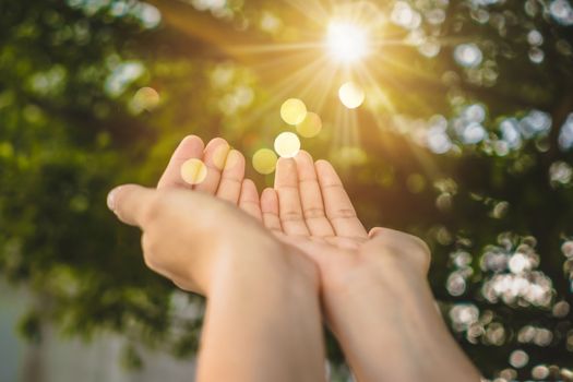 Woman hands place together like praying in front of nature green bokeh background.