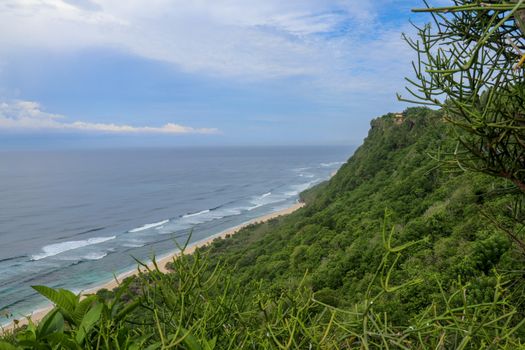 A high cliff off the coast of the Indian Ocean on Bali Island overgrown with dense tropical vegetation. Rainforest at Nyang Nyang beach in Indonesia. Coconut palms lining the foot of a steep slope.