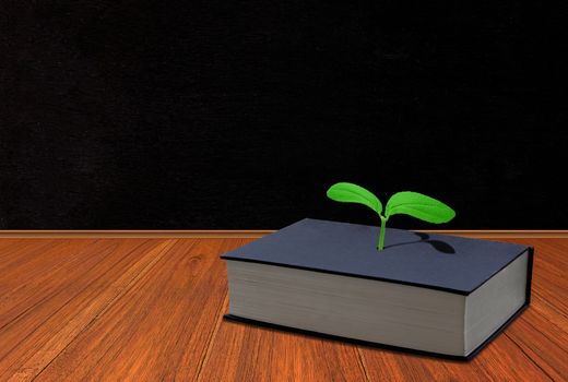 Education concept, knowledge management, idea growing