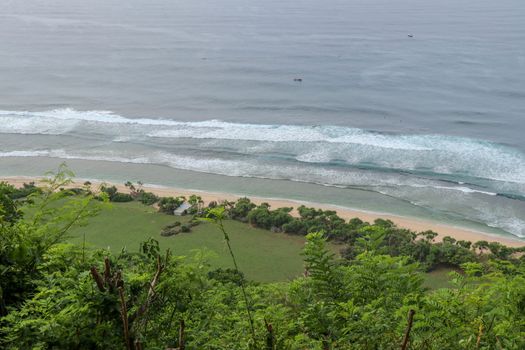 A high cliff off the coast of the Indian Ocean on Bali Island overgrown with dense tropical vegetation. Rainforest at Nyang Nyang beach in Indonesia. Coconut palms lining the foot of a steep slope.