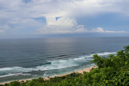 A high cliff off the coast of the Indian Ocean on Bali Island overgrown with dense tropical vegetation. Rainforest at Nyang Nyang beach in Indonesia. Coconut palms lining the foot of a steep slope.