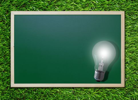 Knowledge management, education concept, light bulb and chalkboard on green grass background