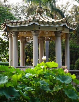 A Chinese pavilion with glazed roof tiles amidst a lotus pond
