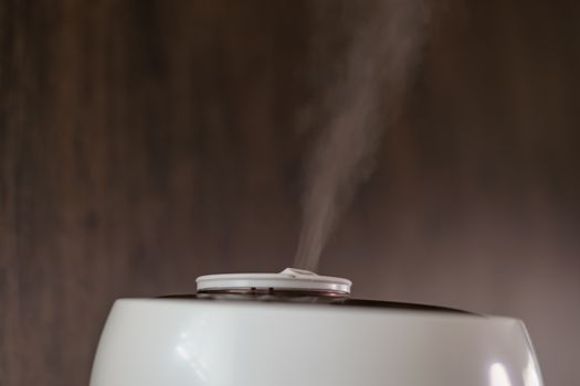 Aroma oil vapour from humidifier or diffuser moisture in the house.