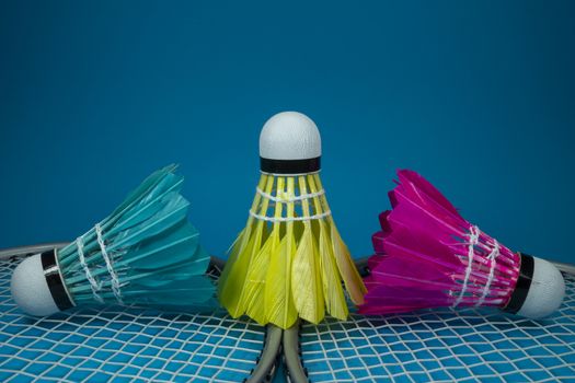 Colorful feathered shuttlecocks in blue, yellow and pink and badminton rackets on blue background in a close up view