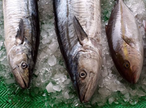 Large fresh fish are being offered at an outdoor market