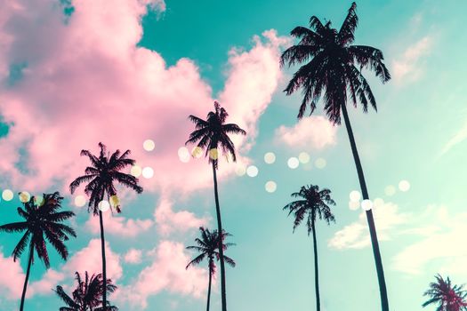 Tropical palm coconut trees on sunset sky flare and bokeh nature background.