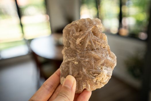 Coral carcass fossil on the hand.