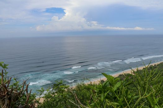 A high cliff off the coast of the Indian Ocean on Bali Island overgrown with dense tropical vegetation. Rainforest at Nyang Nyang beach in Indonesia. Coconut palms lining the foot of a steep slope.