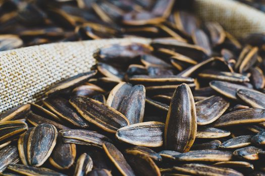 Sunflower seed on a sack background.