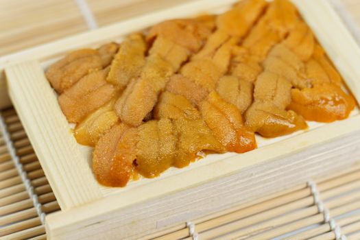 Japanese sea urchin in wooden tray , sushi and sashimi ingredients