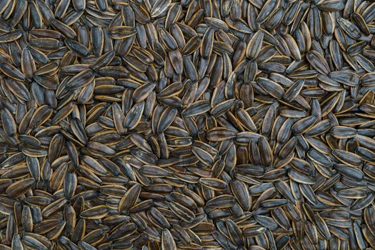 Black sunflower seeds. For texture or background. top view