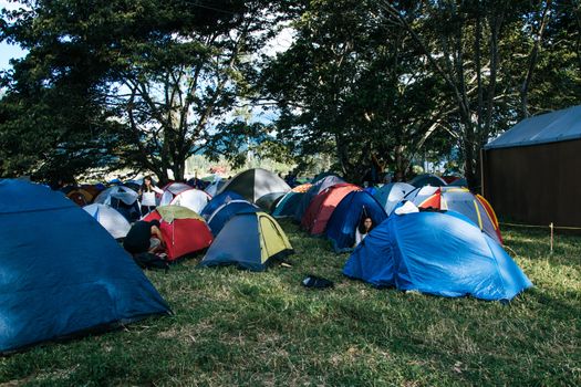 Camp at the Selvamonos Festival in Oxapampa