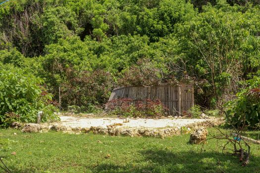 Old dilapidated bamboo fence in dense tropical vegetation on Bali island. A bamboo lath fence inclined to the ground. The branches of trees grow between the planks of the wooden enclosure. Sunny day.