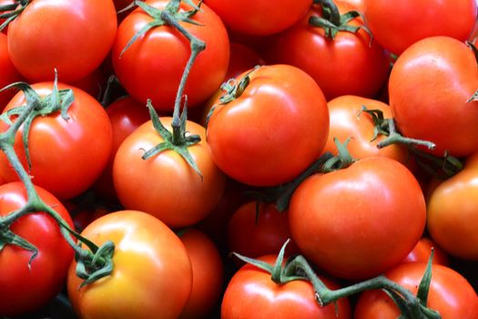 photo of very fresh tomatoes