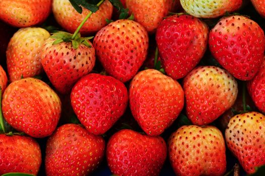 background from freshly harvested strawberries