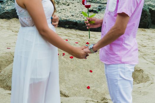 Marriage request on the beach with a rose and a ring