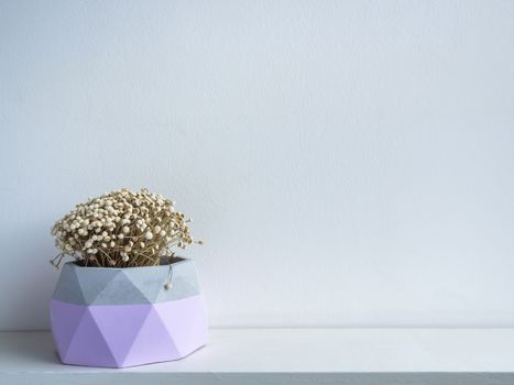 Cactus pot. Concrete pot. Purple modern geometric concrete planters with dry flowers on white wooden shelf isolated on white background with copy space.