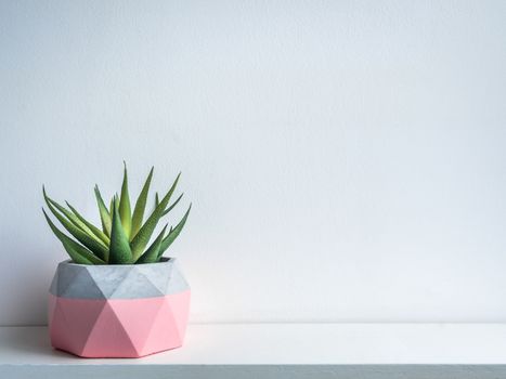 Cactus pot. Concrete pot. Pink modern geometric concrete planters with green succulent plant on white wooden shelf isolated on white background with copy space.
