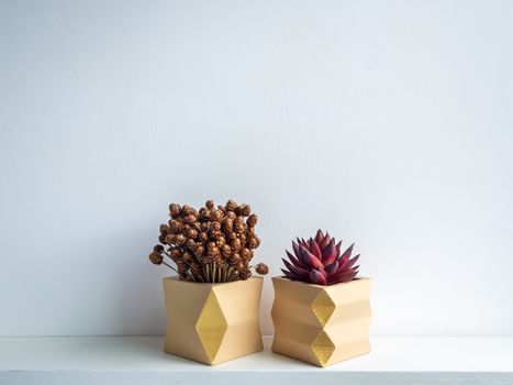 Cactus pot. Concrete pot. Two empty yellow modern geometric concrete planters with red succulent and dry flowers on white wooden shelf isolated on white background.