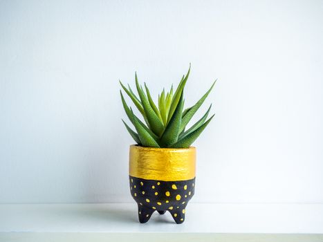 Cactus pot. Concrete pot. Cute small gold and black painted concrete planter with green succulent plant on white wooden shelf isolated on white background.