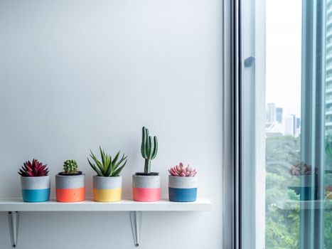 Cactus pot. Concrete pot. Colorful round concrete planters with cactus and succulent plants on white wooden shelf near glass window with copy space.
