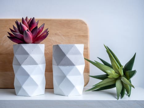 Cactus pot. Concrete pot. Two concrete planters with succulent plants on white wooden shelf isolated on white background.