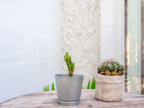 Green cactus in ceramic planter and mini zinc pot on wooden table on white wall background.