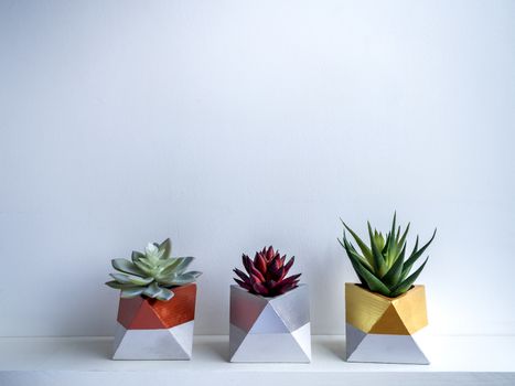 Cactus pot. Concrete pot. Gold, silver and copper painted geometric concrete planters with succulent plants on white shelf isolated on white background.