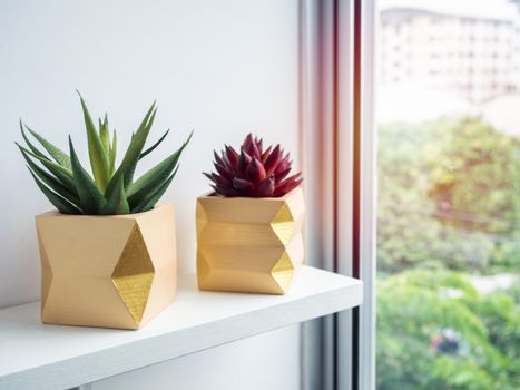 Cactus pot. Concrete pot. Two empty yellow modern geometric concrete planters with red and green succulent plant on white wooden shelf near glass window.