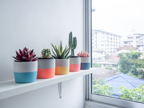 Cactus pot. Concrete pot. Colorful round concrete planters with cactus and succulent plants on white wooden shelf near glass window.