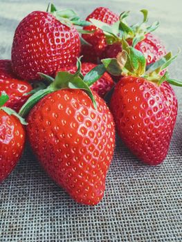 Organic strawberries on rustic linen background, fruit farming and agriculture